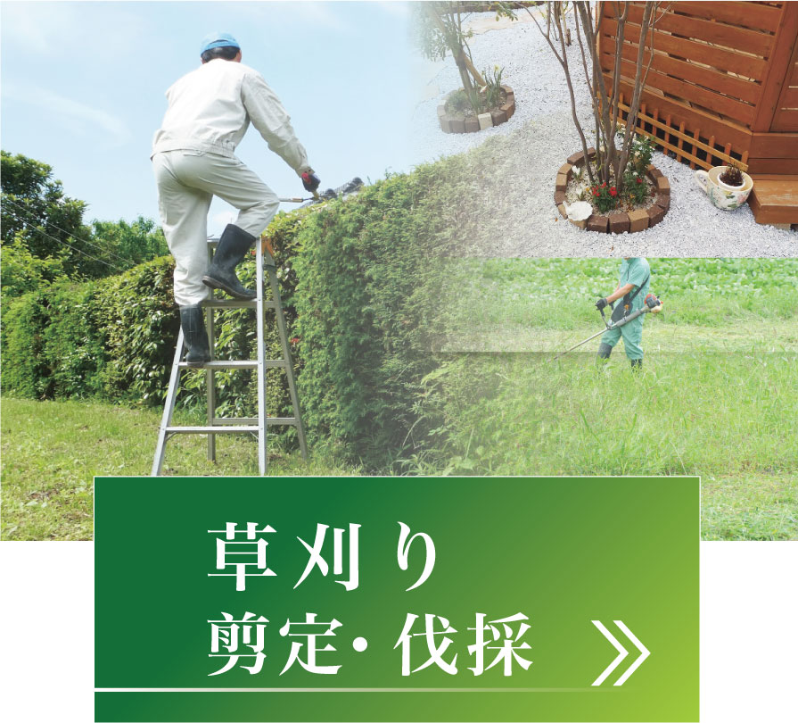 草刈り剪定伐採
