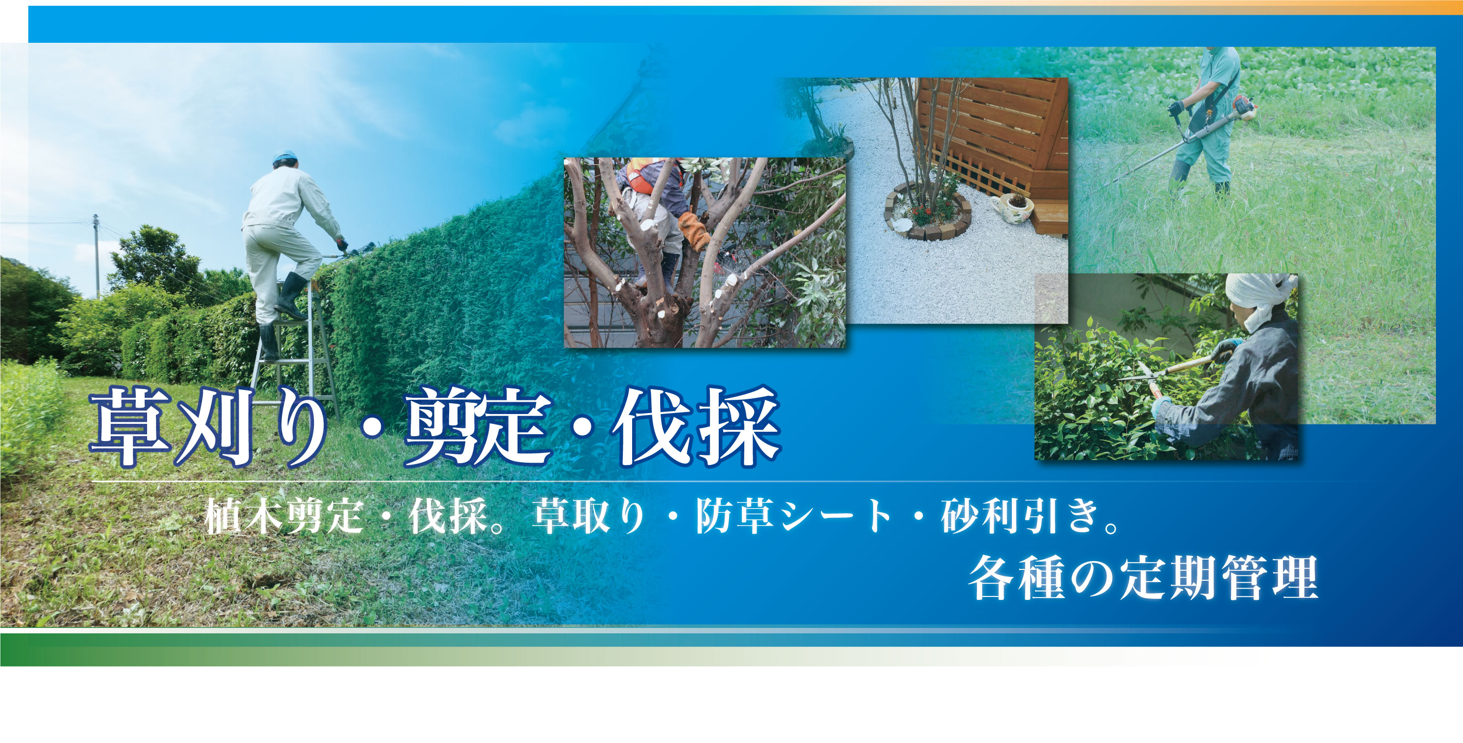 草刈り剪定伐採抜根、三重県